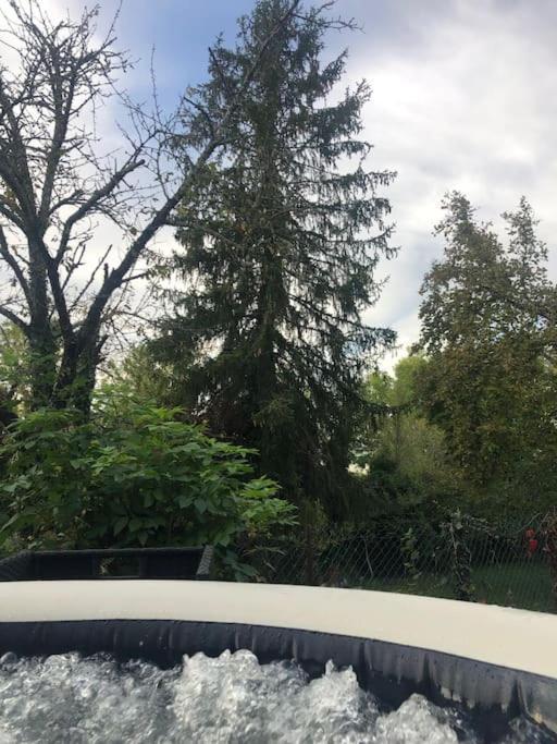 Charmant Gite En Perigord Vert Douchapt Exterior foto